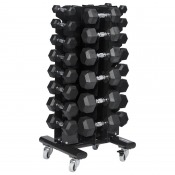 Master Fitness Hantelset Hexagon 1–20 kg Par Inklusive Ställ i BRF-gym Kompakt