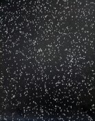 EPDM Gymgolv 100 x 100 x 2 cm Grå Flakes