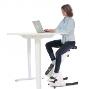 Desk Bike (Pallet Deal)