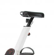 Desk Bike (Pallet Deal)