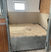 Hästbox med stallmatta under strö – pusselstallmatta i gummi 20 mm