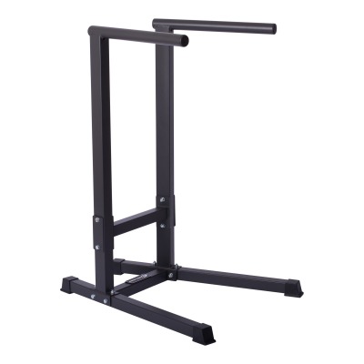 Dip stand 665 ds från master fitness