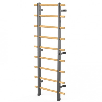 Master Fitness Wallbar – Ribbstol med 9 träribbor och ram i pulverlackat stål, snett framifrån