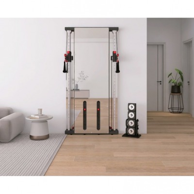 Master Fitness X23 Wallgym, superslim kabelmaskin med spegelfront i rostfritt stål